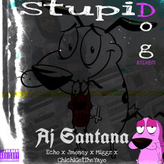 508 Aj- Stupid Dog 4