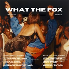 WHAT THE FOX VOL 001