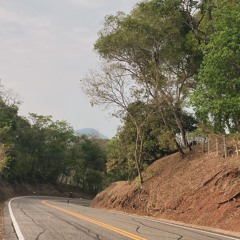 LA RUTA
