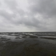 Het Wad