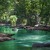 Artwork for Green River