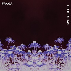 TEXTURE 041 - FRAGA