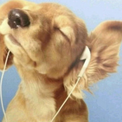 трипрепорт