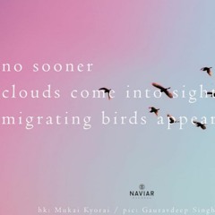 Migrating Birds (naviarhaiku411)