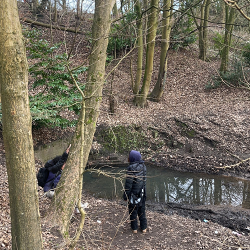 UP->tig_ht (erebasu)