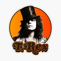 Marc Bolan/T.Rex Special