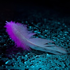 Tesla - Move with the Flow