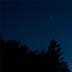 IMA STAR ( beat prod. Gibbo x YMAR x Ferno)