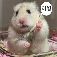 meenoi - 우리사랑을만들어 (cover)