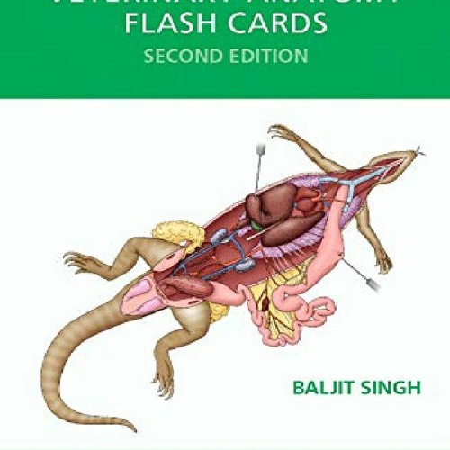 Stream [PDF] ️DOWNLOAD⚡️ Veterinary Anatomy Flash Cards, 2e from