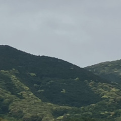 20230827 hidden mother.m4a