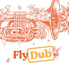 Fly Dub (feat. Hindi Zahra)