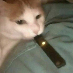 jUnt0 a ti
