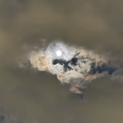 17 Feels Like April 2025