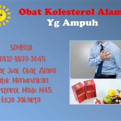 MANJUR, 0812-8899-3045, Distributor, Obat Kolesterol Tinggi Secara Alami, Madu M45, Sumenep