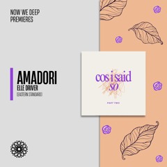 NWD PREMIERE | Amadori - Elle Driver [Eastern Standard]
