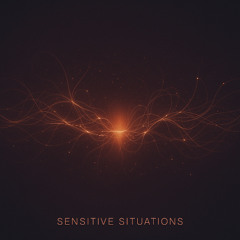 A-Lot - Sensitive Situations (CNDD Remix)