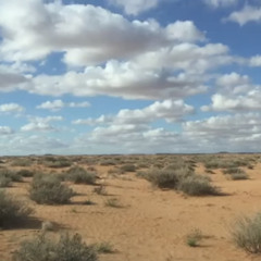 ‎⁨عزاه يا قلبٍ مشعل الحبيني⁩