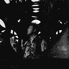 SYNERGY 001: ANTHONY SUNSET
