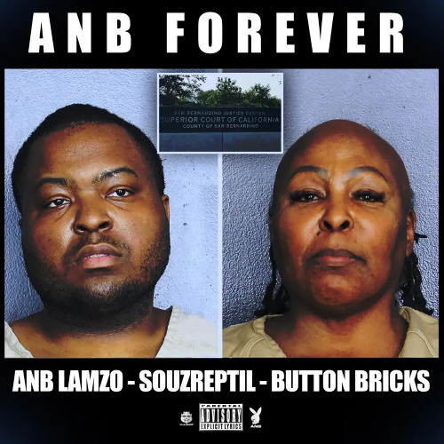 ANB FOREVER - SOUZREPTIL, ANB LAMZO, BUTTON BRICKS