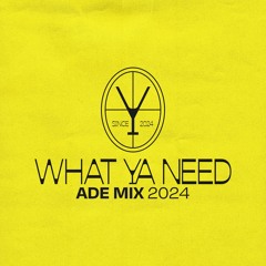 What Ya Need - ADE Mix 2024