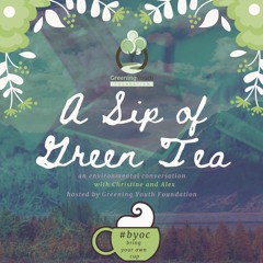 A Sip Of Green Tea With Christine And Alex – Green Box