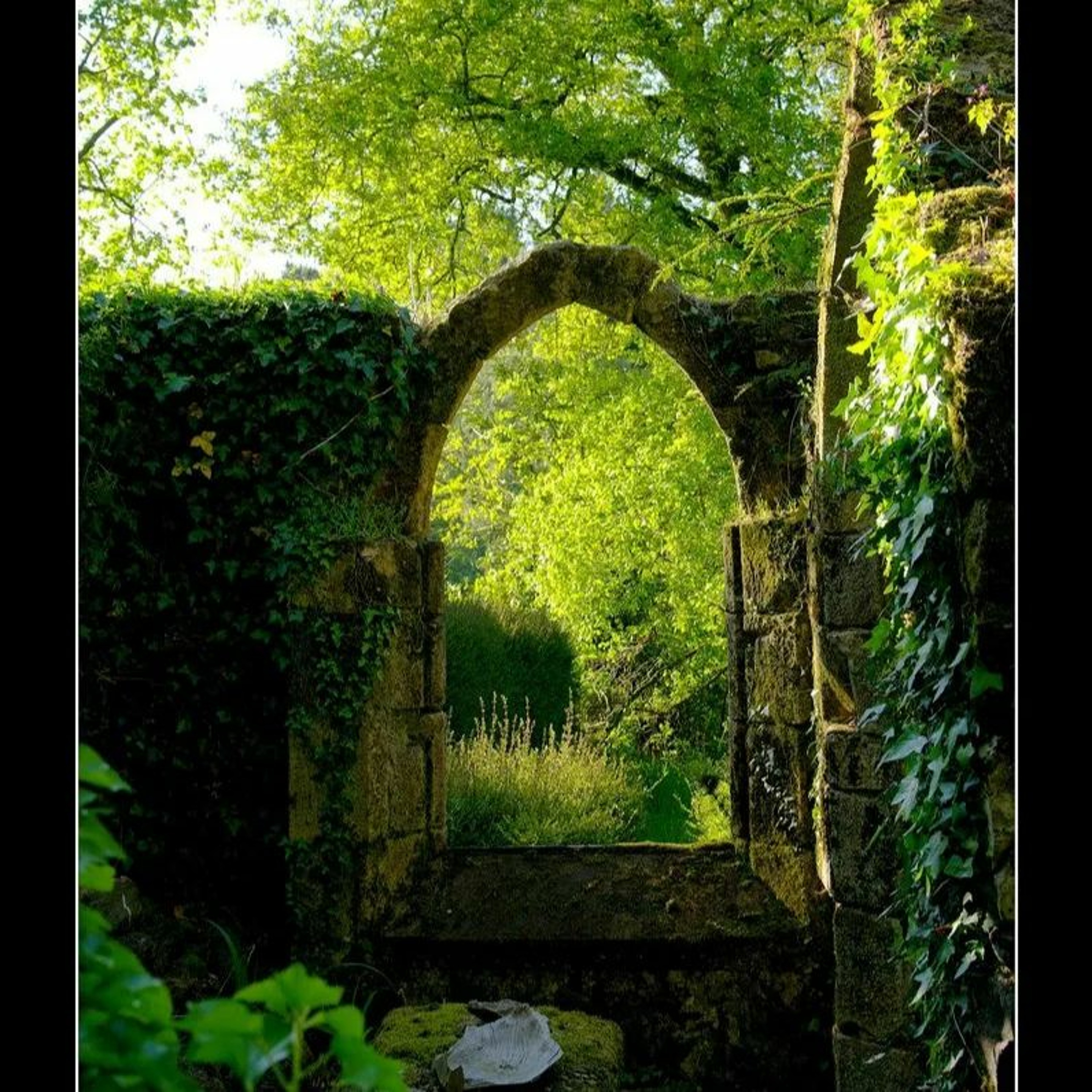 The Secret Place thumbnail