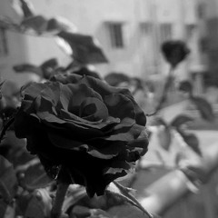 CARELESS (Feat. Gifted Ty)