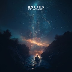 Nickelback - How You Remind Me (Bud And The Night Remix)