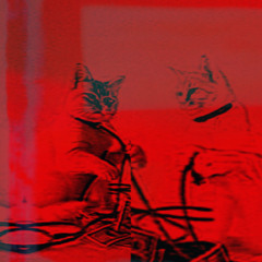 cat cable (alt version)