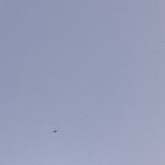 i've never felt like this before