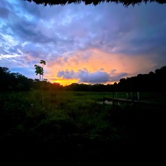 Amazon Jungle - Achuar Kapawi Lodge - 2022/07/31