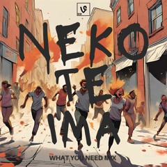 Neko Te Ima (What You Need Mix)