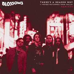 There's A Reason Why (I Never Returned Your Calls) (Satin Jackets Remix)