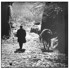 Tra la polvere e il sole   (Testo di Anam Hermit)