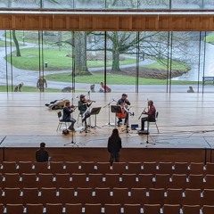 Little Mouse Adventure