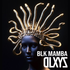 BLK MAMBA