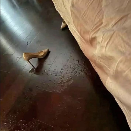 SOBEK - TOP SHATTA (3100 REC)