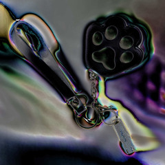 The Blissful Quest ep13 —  ̶o̶_̶u̶_̶r̶_̶i̶_ b2b Cherry B Diamond