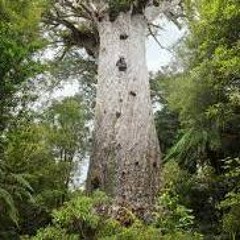 Mightiest Tree - Mess The Mad Sci feat Feao Vaiangina