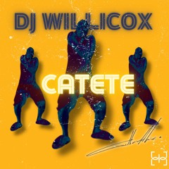 Dj WilliCox - Catete