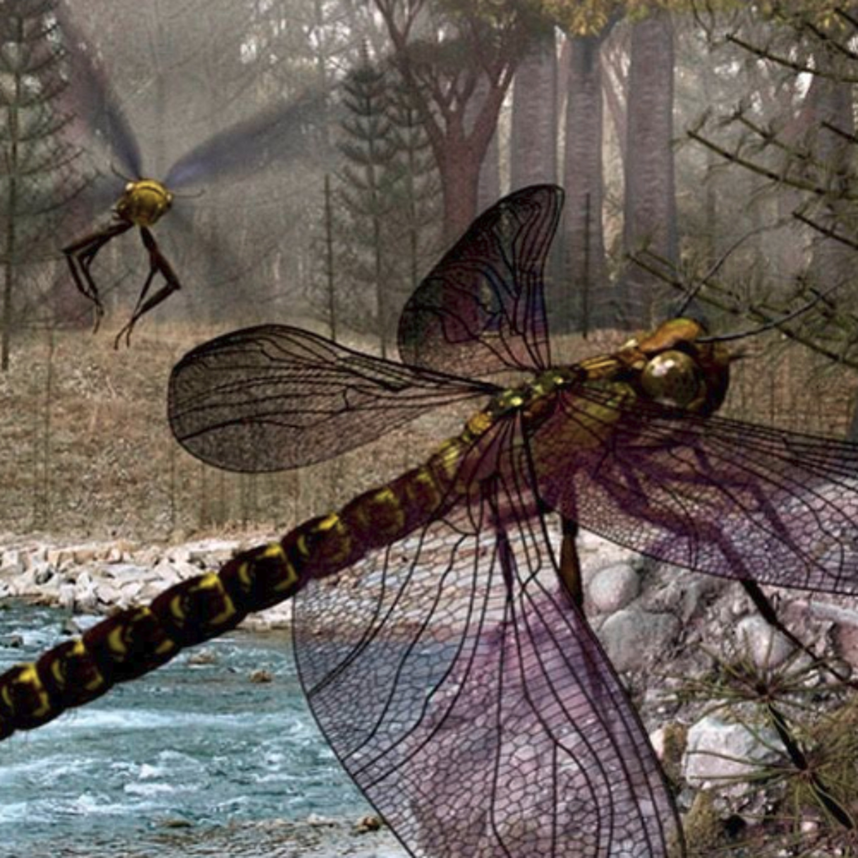 CHRO26029 - Insectes Geants