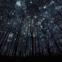 Journey To The Sky