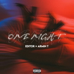 One Night.EditorXArmin