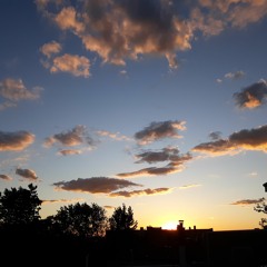 New Next 新規、次