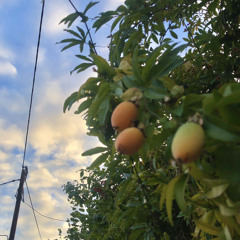 Still Beating - Mac DeMarco (cover)