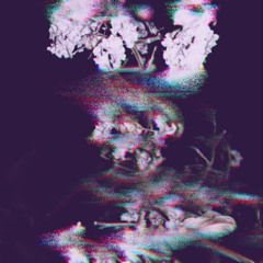 djscreendoor-sept2025-winebar