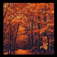 Apathesia - After (dream melodies i had last night?)