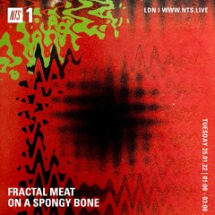 Fractal Meat On A Spongy Bone 240122