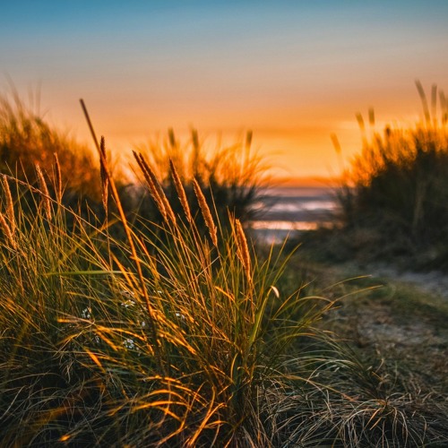 Stream One Blade Of Grass by Arnyd Listen online for free on SoundCloud